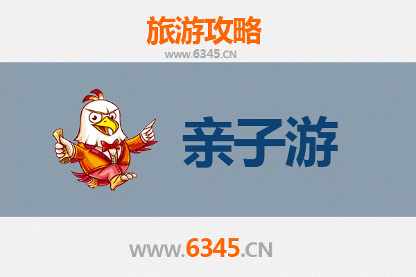 沈阳和平亲子游攻略：探索历史与现代的完美融合
